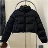 Womens Down Parkas 23fw Frauen Kurz 700 Jacken Klassiker Norden 1996 Wintermantel Feste Farbe Frau Kleidung Puffer