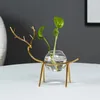 Vases Terrarium Hydroponic Plant Vintage Flower Pot Transparent Vase Metal Frame Glass Office Tabletop Plants Home Bonsai Decor