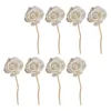 Vases Fragrance Diffuser Sticks Rattan Sola Flower Office Accessories Beautiful Flowers