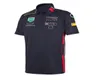 2022 Nieuwe F1 Formule 1 T -shirt Halfsleeve Polo QuickDrying Suit Team Racing Pak Custom Polo Shirt1194316