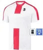 2024 Georgia National Team Mens Soccer Jerseys 24 25 euro cup Home Away Football Shirts