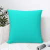 Oreiller couleur unie à la turquoise vive - une fusion de bleu vert pour ceux qui aiment les couleurs d'été jettent des oreillers ornementaux