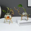 Vases Terrarium Hydroponic Plant Vintage Flower Pot Transparent Vase Metal Frame Glass Office Tabletop Plants Home Bonsai Decor