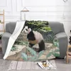 Couvertures Fubao Panda Fu Bao Animal Couverture Animal Chaude Flanelle confortable Jet Fleece pour canapé durable durable