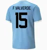 2024 Uruguay Mens Soccer Jerseys Équipe nationale N.DE La Cruz G.DE Arrascaeta F.Valverde L. Rodriguez M.olivera Home Away Football Shirts