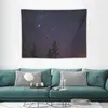 Tapadesries Space Tapestry Room Decor esthétique sur le mur