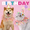 Hundebekleidung kleine Hunde Kronen Stirnbandschal Labber Geburtstag festlicher Anzug Katzenpographie