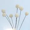Fiori decorativi dentelioni fiore sfere simulazione artificiali falsi oggetti di scena del matrimonio che tengono mai dissolvenza sci88