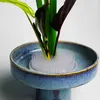 Fleurs décoratives grenouilles épingles japonaises jianshan arrangeur de fleur en vase transparent à aiguille florale