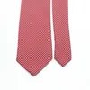 Clats de cou Tie en soie en polyester super doux pour la mode masculine 7cm décolleté pour les affaires pour hommes Conférence Business Gravata roman coloré