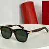 Lady Premiere Fashion Sunglasses in tortoiseshell composite rectangular shape and green lenses high quality with original box