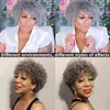 Grey Wig for Women Afro Kinky Curly Human Hair Wig Black salt and pepper silver Wig Glueless Gray Wig with Bangs Human Hair machine made none lace 150% Density