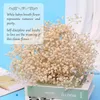 Fleurs décoratives blancs naturels séchés gypsophile Baby's Breath Branches Home Decor Table de mariage Couronne de bricolage floral