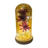 Fiori decorativi Bellissima fiore eterno Ecologico Base Light Led Preserved