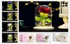 Rose Lasts Forever With Led Lights In Glass Dome Valentine039s Day Wedding Anniversary Birthday Gifts Party Decoration 5 Colors6520035