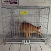Porteurs de chats iutopo cage de chien gras pliage portable grand et moyen petit en peluche en peluche