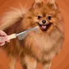 Собачья одежда Pet Cat Combeardenge Renter Dister Compling Swacking Grooming Suppors для собак Combs Hair Compact Compact