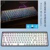 Teclados 96 por ciento de intercambio en caliente RGB retroiluminado 100 teclas Kit de teclado mecánico Magic Bluetooth Wireless para PC Gaming Fl Epport Claviers DK100