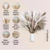 Dekorativa blommor 80st Natural Fullt Pampas Grass Bouquet Boho Home Decor Phragmites Torkade för bröllop Ramadan Dekoration Mariage