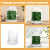 Vasi 2 pezzi Bottiglia di vetro Pianta di fiori fai-da-te Terrarium Micro-Landscape Ecology Desktop