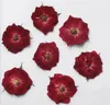 Fleurs décoratives 120pcs Pressé Pressé Fourdeur de fleurs de rose séchée pour collier pendentif en résine époxy