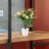 Декоративные цветы искусственное цветочное орнамент Декор дома домик украсить офис пластиковый фальшивый бонсай