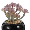 Decorative Flowers 4 Pcs Simulated Bonsai Artificial Plants Decor Faux Decorate Mini Fake Potted Pvc Succulents Small