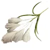 Decorative Flowers Cozy Indoor Outdoor Decoration Realistic Pampas Grass Bouquets Bohemian Style Fluffy Faux Arrangements For Wedding Home