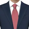 Clats de cou Tie en soie en polyester super doux pour la mode masculine 7cm décolleté pour les affaires pour hommes Conférence Business Gravata roman coloré