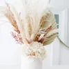 Dekorativa blommor torkade pampas gräs palm hortensia bukett blomma arrangemang för vas gåva boho bröllop hem sovrum bordsdekoration