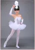 Scene Wear Professional White Girls Swan Lake Ballet Dresses Ballerina Dancing Costumes For Kids Dance Dress Performance Tutu Dancewear