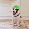 Motocicli di abbigliamento per cani pet cappello divertente cappello da esterno decorativo decorazione vacanza di gatto