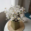 Dekorativa blommor naturligt torkad tusensköna torr bukett för vas boho heminredning blommor arrangemang rustik kontor bröllop fest dekoration