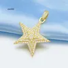 Designer Hip Hop Jewelry S925 VVS Silver Iced Out Star for Women Valentine Gift Moissanite Pinging