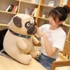Filmer TV Plush Toy 1pc 35-60cm Ny Shapi Dogs Doll fylld simulering Plush Pug Lovely Puppy Pet Toy Plush Animal Toy Birthday Kids 240407