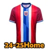 23/24/25 Norwaies Haaland Soccer Jerseys 23 24 25 Noruega King Berge Odegaard Berge King Sorloth Camisetas Nation