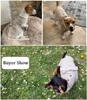 犬用の夏の服ボウノットかわいい格子縞の新鮮なカーキスーツ犬のシャツスナップボタン装飾ドレス240402