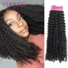 Yvonne kinky curly Virgin Бразильский плетение волос 4a 4b необработанные человеческие пакеты натуральный цвет 240402