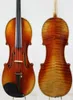 Offrande spéciale Guarneri 1743 Cannon 44 violon violo Tone puissant quotall européen Woodquot ShipingProfessional Sou7799289