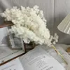 Decorative Flowers Preserved Penglai Pine Eternal Flower Candles Mold Epoxy Resin DIY Dried Material Home Arrangement Room Decoration