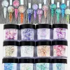 Bouteilles 1set Extension de clou Boulderdipping Sculpture Powder 12 Colours 3in1 Chameléon de flocons de caméléon de poudre de nail art manucure