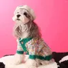 Hundekleidung Welpe Kleidung Herbst Winter Haustier Pullover Katze gestrickte warme Pullover mit bunten Tupfen für Hunde Accessoires