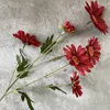Dekorative Blumen Künstliche Pflanzen 6 Köpfe armenische Gänseblümchen mit langen Zweigen Hausgarten Dekorieren