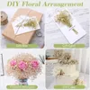 Fleurs décoratives blancs naturels séchés gypsophile Baby's Breath Branches Home Decor Table de mariage Couronne de bricolage floral