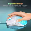 Mice USB Wired Gaming Mouse RGB Gamer Hollow Out Mouses Adjustable 3600 DPI Honeycomb Macro Programmable Ergonomic Mice for PUBG Y240407