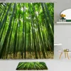 Courteaux de douche 2pcs Forest Bread Bridge Pridge 3d Waterfall Natural Bamboo Fabric Decor Not Slip Baign Mat Salle de bain