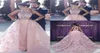 2020 Evening Dresses Wear Arabic Dubai Pink 3D Floral Flowers Ball Gown Over skirts Lace Appliques Plus Size Formal Party Dress Pr2469291