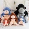 Film TV PLUSH PLUSH giocattolo 50 cm carino soft king kong gorilla peluche giocattoli per ufficio peluche cuscino imbottito per la casa comfort cuscino dambolo regalo per bambini bambini 240407