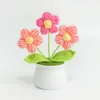 Decorative Flowers Woven Potted Plant High-quality Preserved Handmade Crocheted Small Flower Realistic Yarn For Stylish