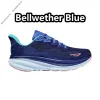 Gratis fraktfabrikens överskottsskor 2024 Ny med Box Hokah Designer Rinnande skor för män Kvinnor Mens kvinnor Passion Fruit Black White Blue de Sneaker